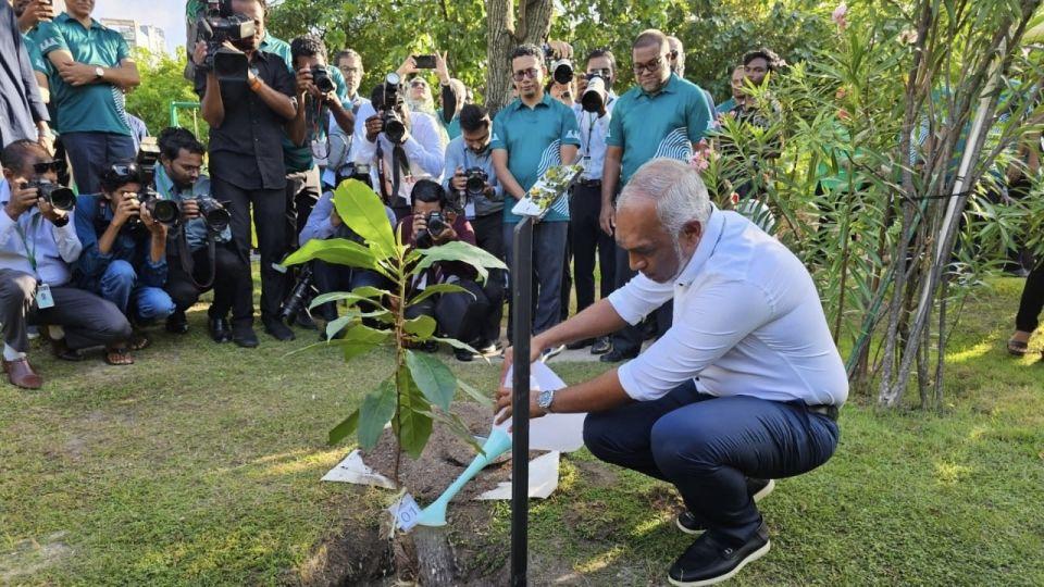 ތިމާވެއްޓަށް ކުރާ ނޭދެވޭ އަސަރު ކުޑަކުރުމަށް ގަސް އިންދުން އިތުރުކުރަން ޖެހޭ - ރައީސް