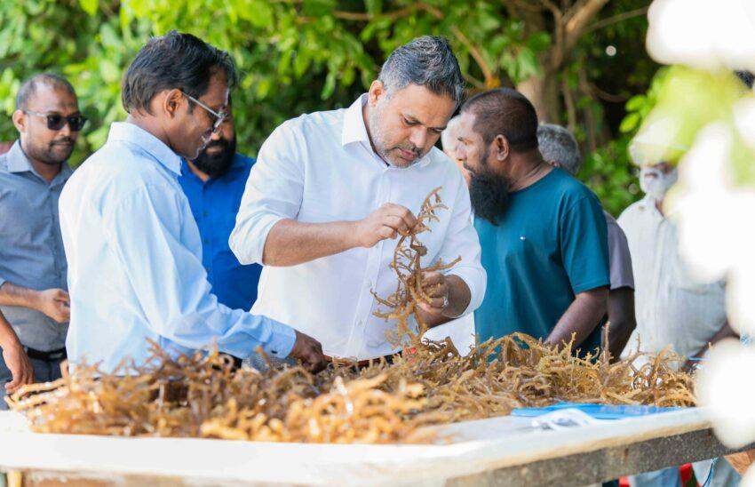 ކަނޑުގެ ދިރުންތައް ރައްކާތެރިކޮށް އަންނާންއޮތް ޖީލަށް ފޯރުކޮށް ދިނުމަކީ އެންމެންގެ ޒިންމާއެއް: ޝިޔާމް