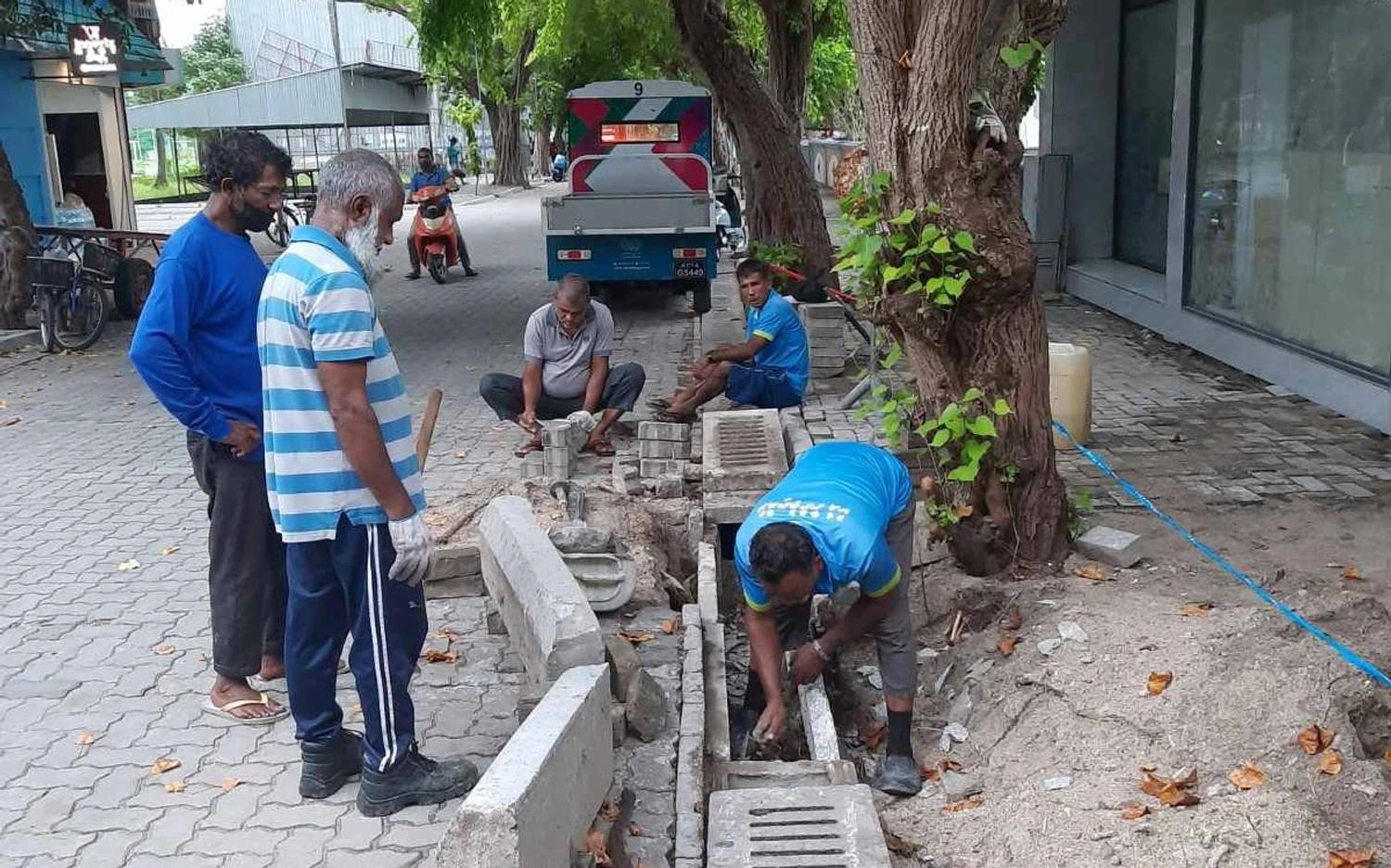 އަހަރުގެ ފުރަތަމަ ފަސް މަސް ދުވަހު ވިލިމާލެއިން 3875 ކާނު ސާފުކޮށްފި