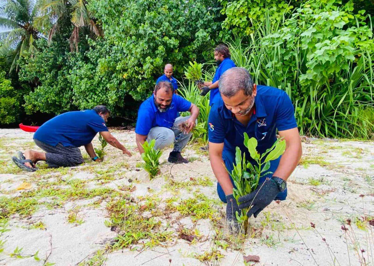 5 މިލިއަން ގަސް އިންދުމުގެ މަޝްރޫއު: ސްޓެލްކޯއިން މި ހަފްތާ ބަންދުގައިވެސް ގަސް އިންދުމުގެ ހަރަކާތްތައް ކުރިޔަށް ގެންދިޔަ!