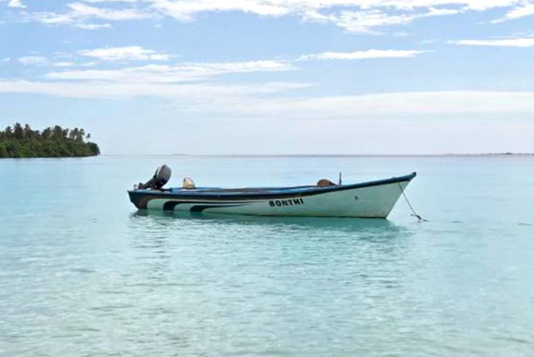 ގެއްލުނު ޒަކަރިއްޔާ ހޯދުމަށް މިހާތަނަށް ކަނޑުމަގުންނާއި ވައިގެމަގުން ބޮޑު ސަރަހައްދެއް ބަލައިފި
