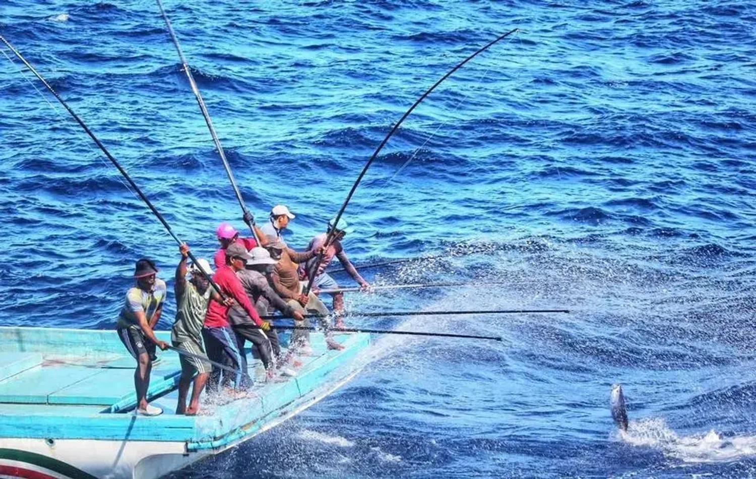 ޕްރޮޖެކްޓް ފޮރ ޕްރޮމޯޝަން އޮފް ބްލޫ އިކޮނޮމީ އިން ފިޝަރީޒް ސެކްޓަރ ޕްރޮޖެކްޓް ކާމިޔާބުކަމާއެކު ނިންމާލައިފި