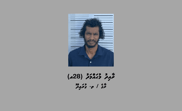 މަސްތުވާތަކެއްޗާއިއެކު ތ. ގުރައިދޫއިން މީހަކު ހައްޔަރުކޮށްފި