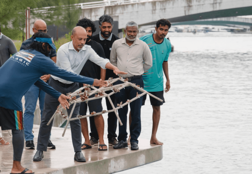 HDC Launches Coral Garden Project to Restore Hulhumalé Channel Park Reef