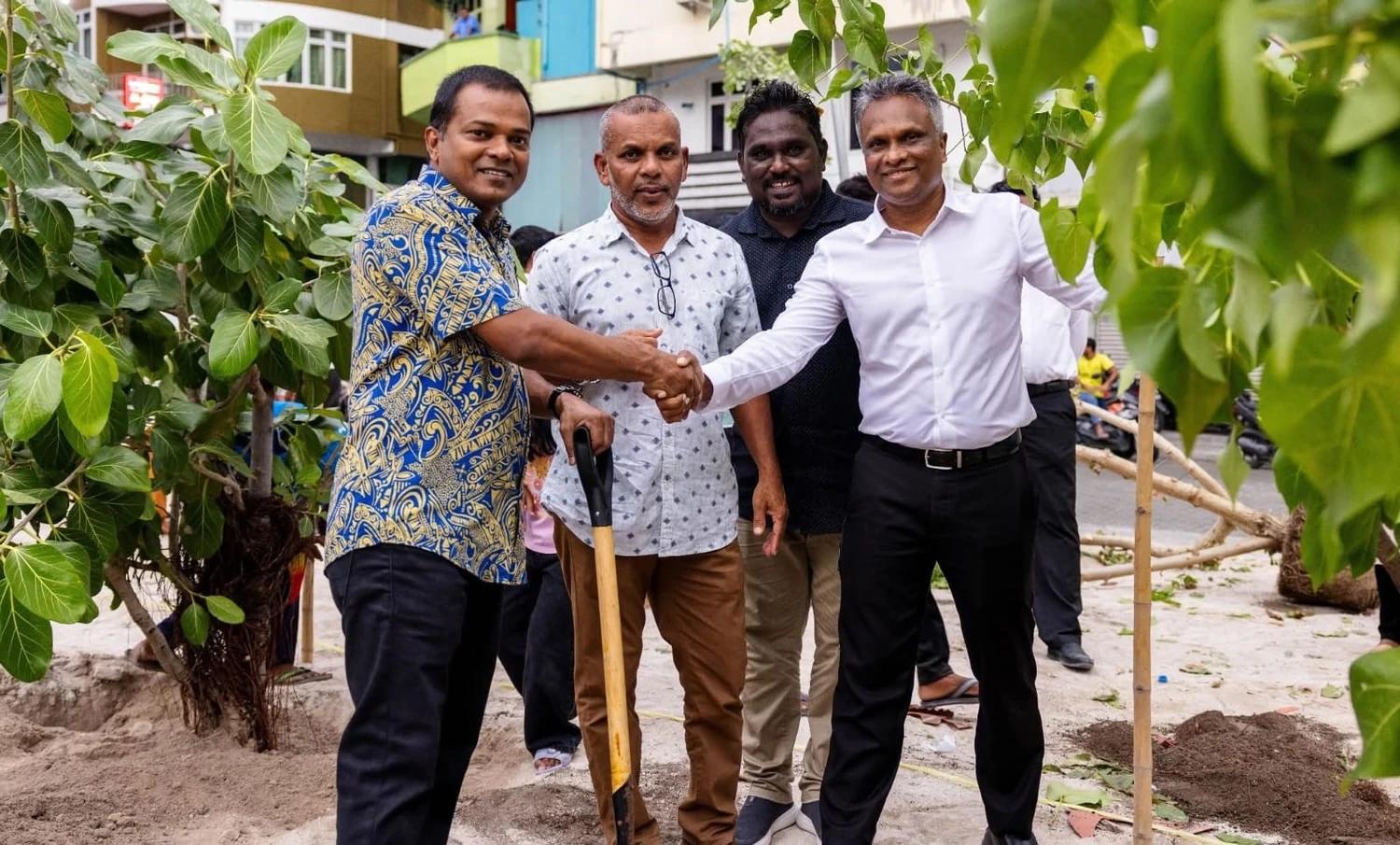 މާލެ ސިޓީ ފެހިކުރުމަށް 4500 އަށް ވުރެ ގިނަ ގަސް އިންދައިފި
