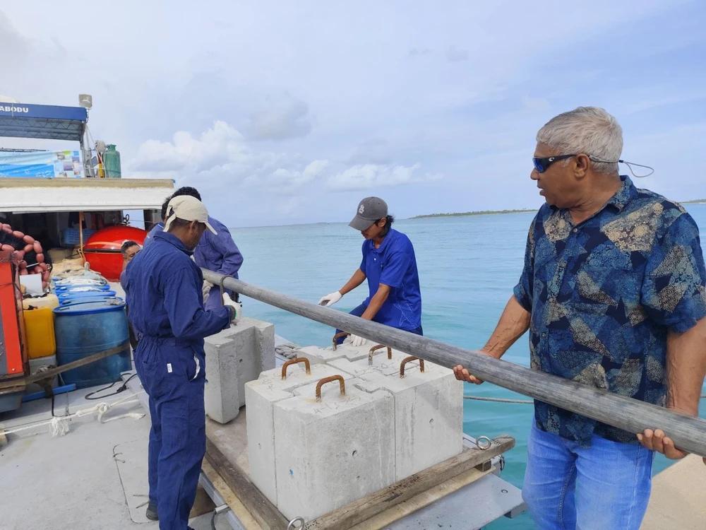 ފިޔޯރީ ދެކުނުގައި ދޮށީ ކަނދުފައްޗެއް ގާއިމްކޮށްފި