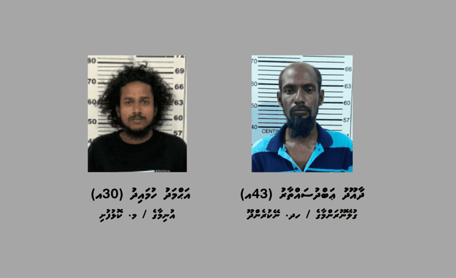 ކޮޅުފުއްޓާއި ބިލެތްދޫއިން މަސްތުވާތަކެއްޗާއިއެކު ދެމީހަކު ހައްޔަރަށް!