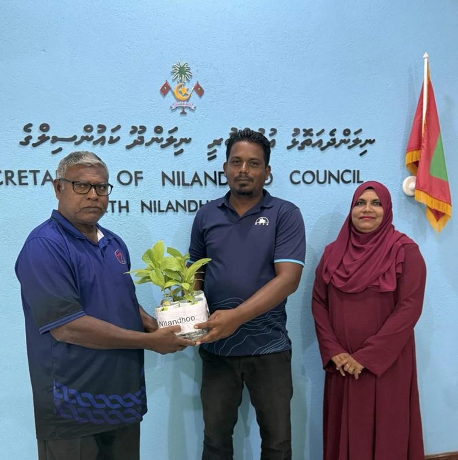 5 މިލިއަން ގަސް މަޝްރޫޢު: އެމްޓީސީސީއާ ގުޅިގެން ހަތް އަތޮޅެއްގައި ހައިވަކަރު ގަސް ބަހަނީ!