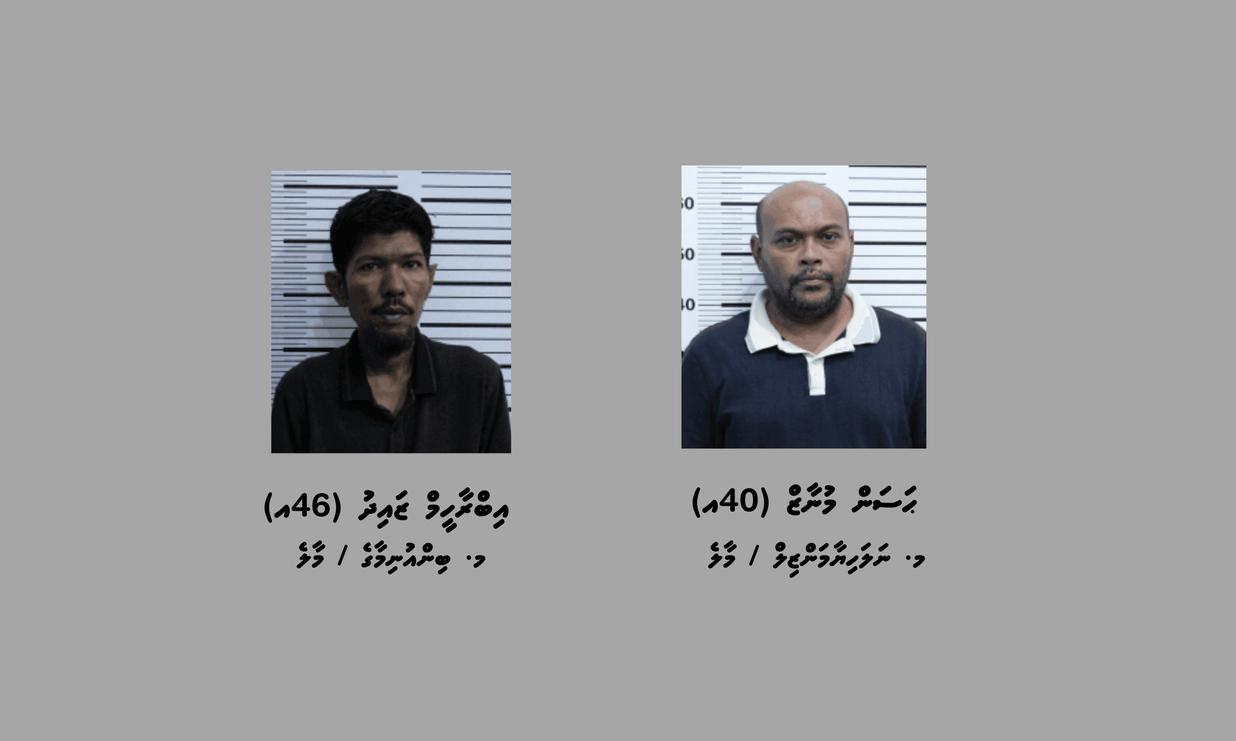 ކާށިދޫގައި މަސްތުވާތަކެއްޗާއި ދެކޮޅަށް އޮޕަރޭޝަނެއް: މިހާތަނަށް ދެމީހަކު ހައްޔަރަށް!