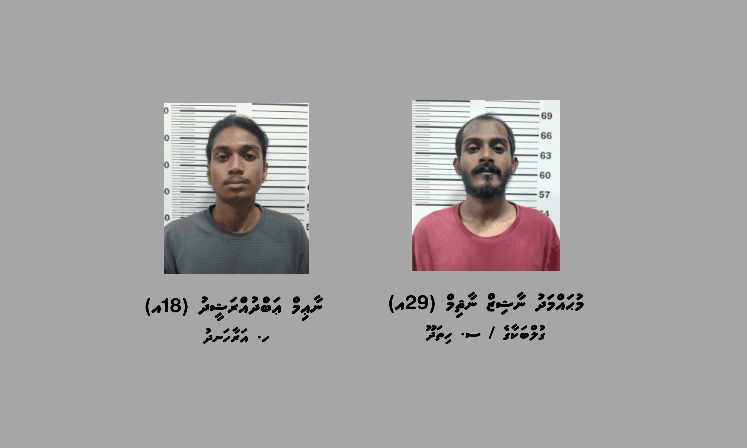 މަސްތުވާތަކެއްޗާއިއެކު ފުލުހުންނަށް ފިލަން އުޅުނު ދެމީހަކު ހައްޔަރަށް!