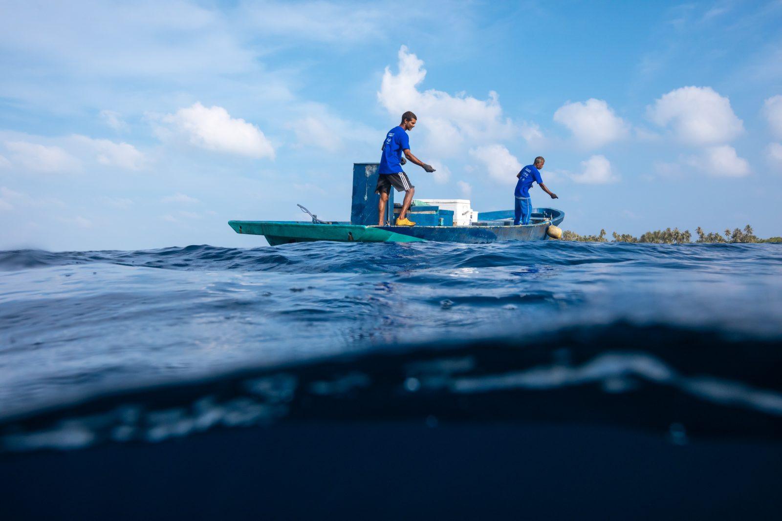 މަސްވެރިންގެ ދުވަހާއި ގުޅުވައިގެން ތިނަދޫގައި މަސްރޭހެއް ބާއްވަނީ