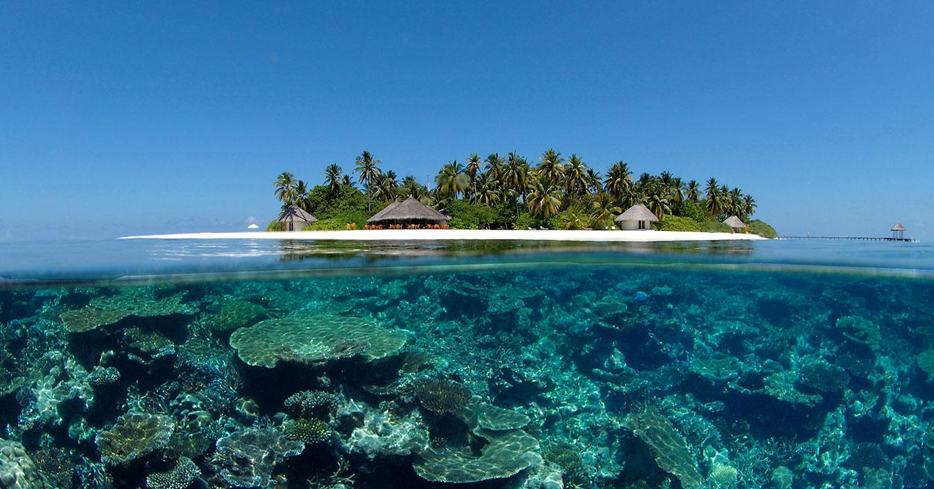 ދިވެހިރާއްޖޭގެ ކަނޑު އަޑީގެ ރީތިކަން ނުފެނި ދިވެއްސެއްގެ އުމުރު ދިޔުމަކީ ހިތާމައެއް!