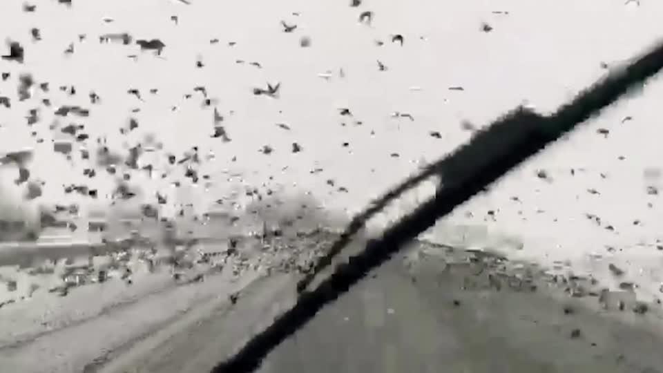 މައިނާ ދޫނީގެ ބޮޑު ބައިގަނޑެއް ތުރުކީގެ ހައިވޭއެއް ފުރާލައިފި!