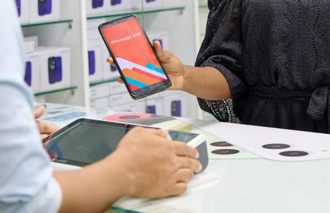 ދިރާގު ޕޭ، ފިއެސް ސިސްޓަމްސްގެ ސޮފްޓްވެއާގައި ބޭނުންކުރެވޭ ގޮތް ހަދައިފި