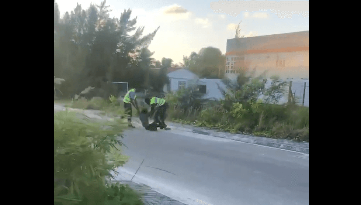 ތިނަދޫގައި ފުލުހުން ކުޑަ އަންހެން ކުއްޖަކަށް އަނިޔާކުރިކަމަށްބުނާ ވީޑިއޯގެ ހަޤީޤަތް!