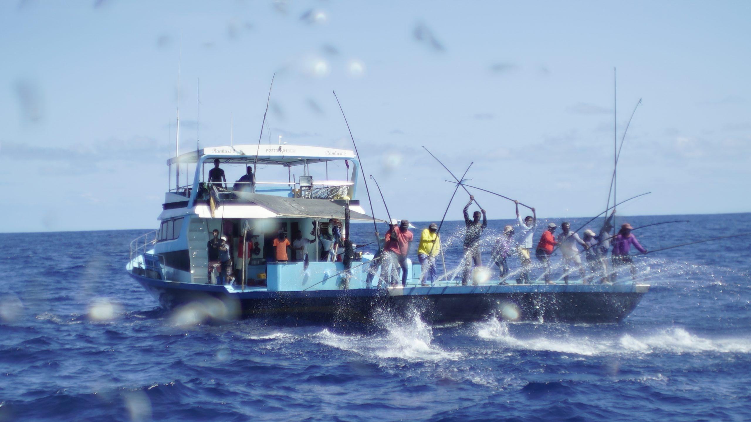 މަސްވެރިންނަށް ނެދެވި ހުރި ފައިސާ މިއަދު ދޫކުރަން މަސައްކަތް ކުރަނީ