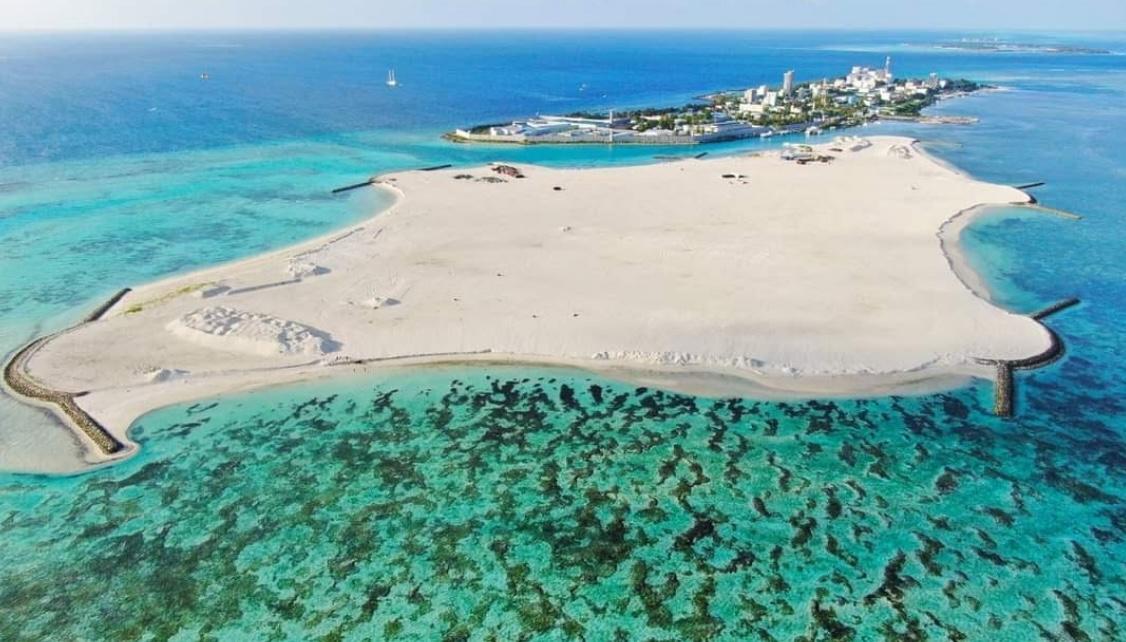 މާފުށީގަިއ އަލަށް ހިއްކި ބިމުން ރެކޯޑް އަގެއްގައި ބިން ވިއްކަން ހުޅުވާލައިފި