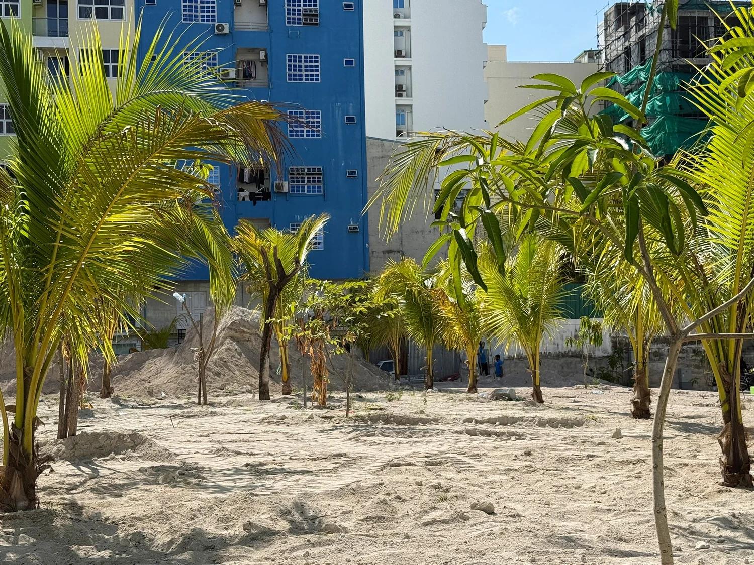ދެމަސް ދުވަހުގެ ތެރޭގައި މާލޭގައި 2702 ގަސް އިންދައިފި