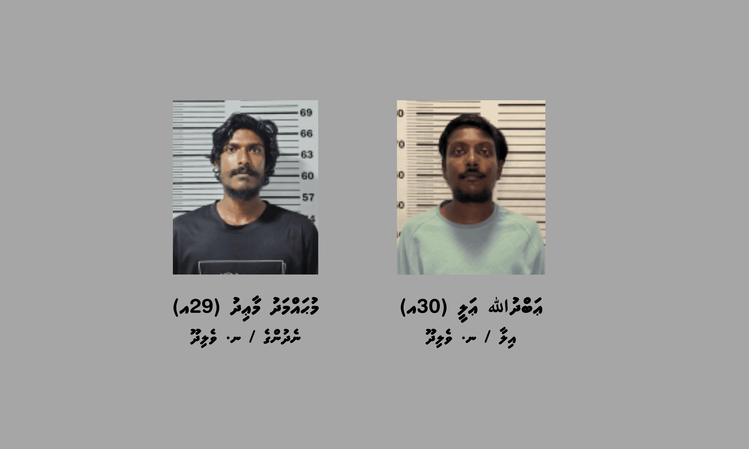 ނ. އަތޮޅުގައި ހިންގި މަސްތުވާތަކެތީގެ އޮޕަރޭޝަނެއްގައި ދެ މީހަކު ހައްޔަރުކޮށްފި
