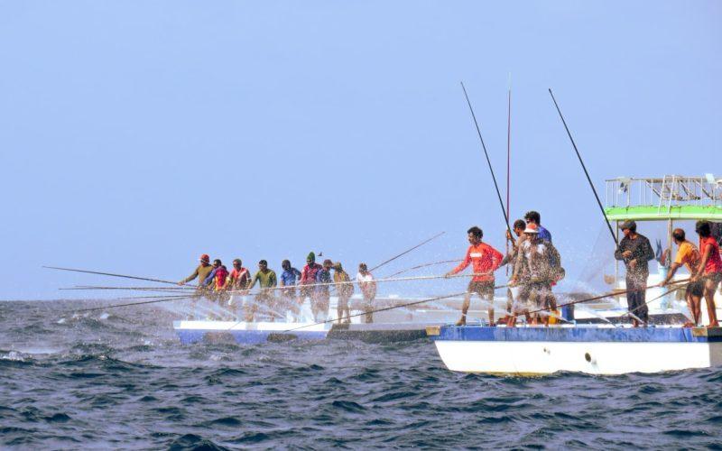 މަސްވެރިކަމުގެ ލައިސަންސަށް އެދުމުގެ ޚިދުމަތް 'ކެޔޮޅު' ޕޯޓަލް މެދުވެރިކޮށް!