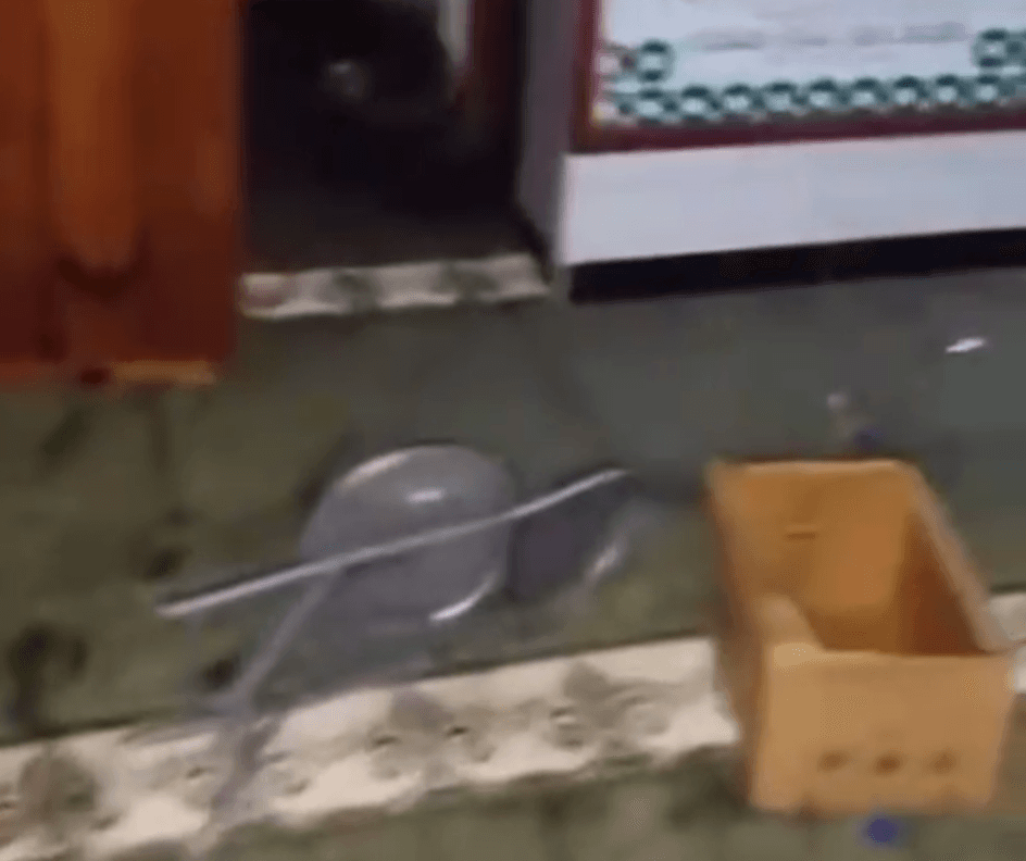 އައްޑޫ ސިޓީގެ މިސްކިތަކަށް ގެއްލުންދީފި