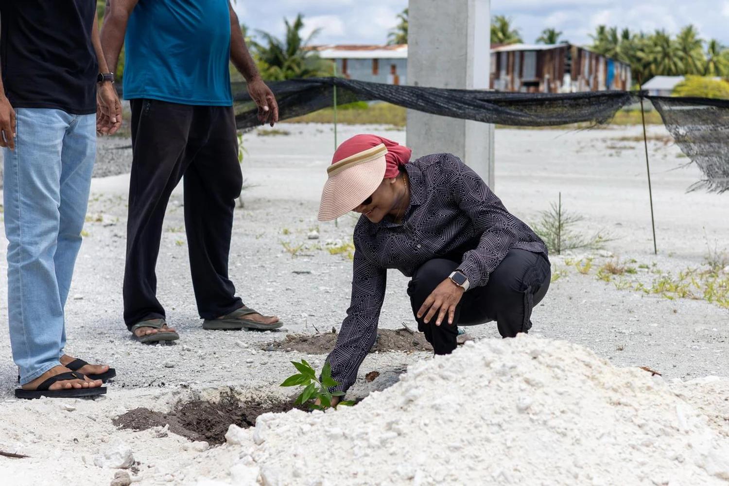 ފަސް މިލިޔަން ގަސް ޕްރޮގްރާމްގެ ދަށުން، ހޯނޑެއްދޫ ކައުންސިލުން 10 ހާސް ގަސް އިންދަނީ