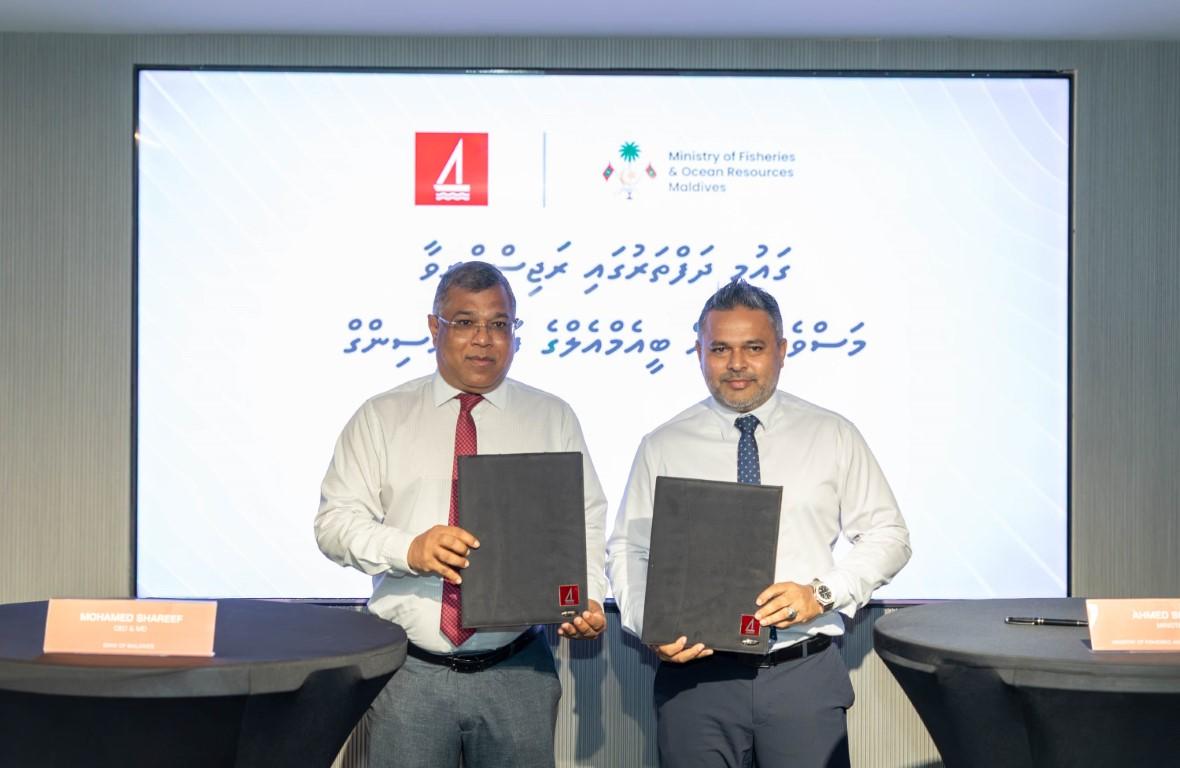 މަސްވެރީންނަށް އުފާވެރި ދުވަހެއް: ބީއެމްއެލްއިން ކްރެޑިޓް ފެސިލިޓީތައް ލިބޭނެ އިންތިޒާމު ހަމަޖައްސައިފި