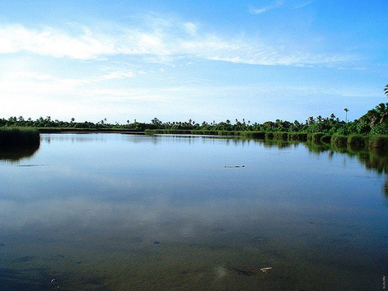އައްޑޫ އާރިކިޅި ތެރެއިން މަރުވެފައި އޮތް މީހަކު ފެނިއްޖެ