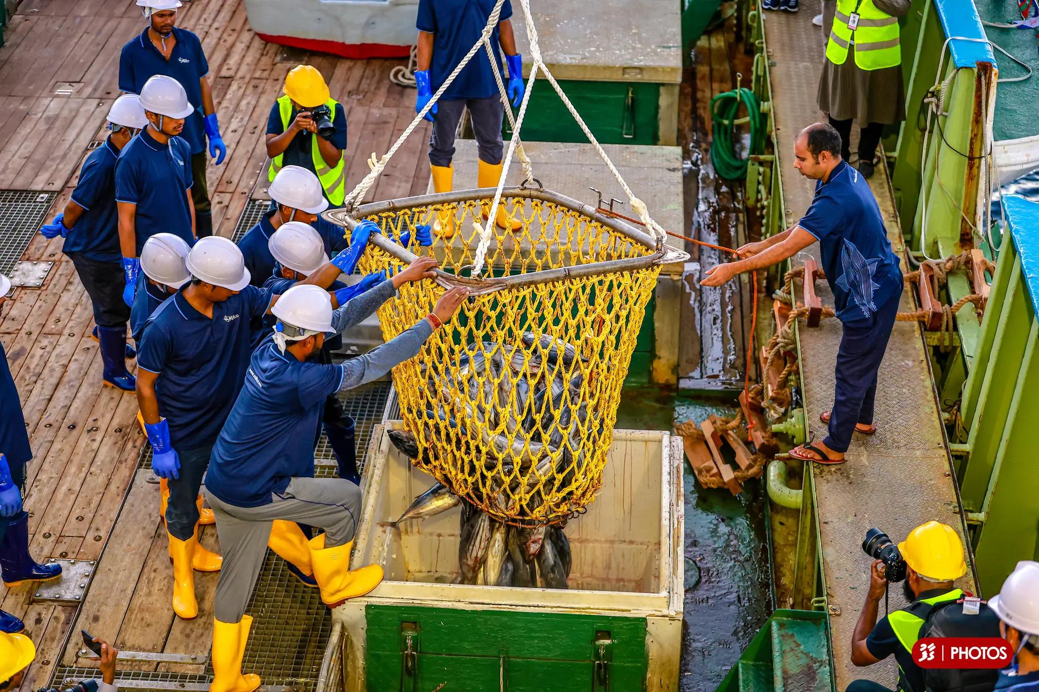 މިފްކޯހެ މަހުގެ ބާވަތްތައް ޔޫކޭއަށް އެކްސްޕޯޓްކުރުމަށް ޕްރިންސަސް ގްރޫޕާއިއެކު އެއްބަސްވުމެއް!