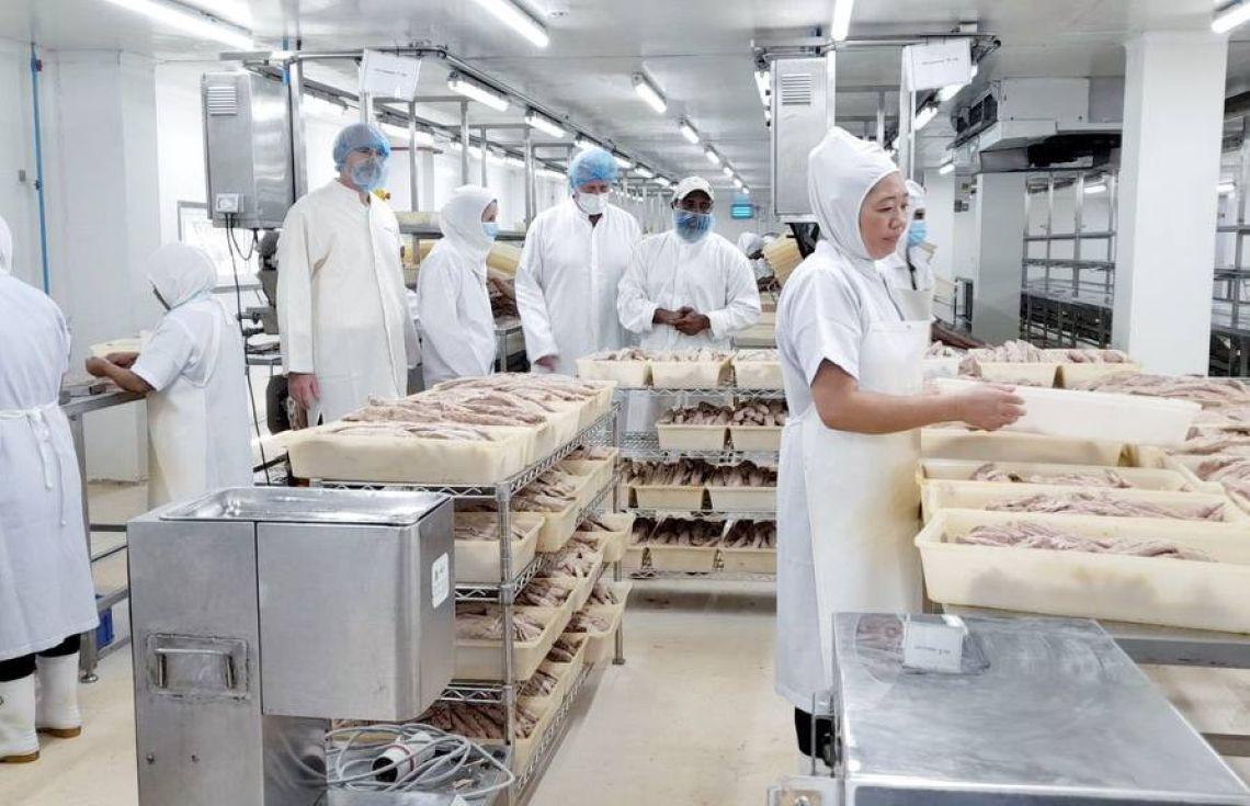 އޮޕަރޭޝަން ހުއްޓިފައި އޮތް އެންސިސް މަސް ކާރުޚާނާ މިފްކޯއިން ގަންނަނީ