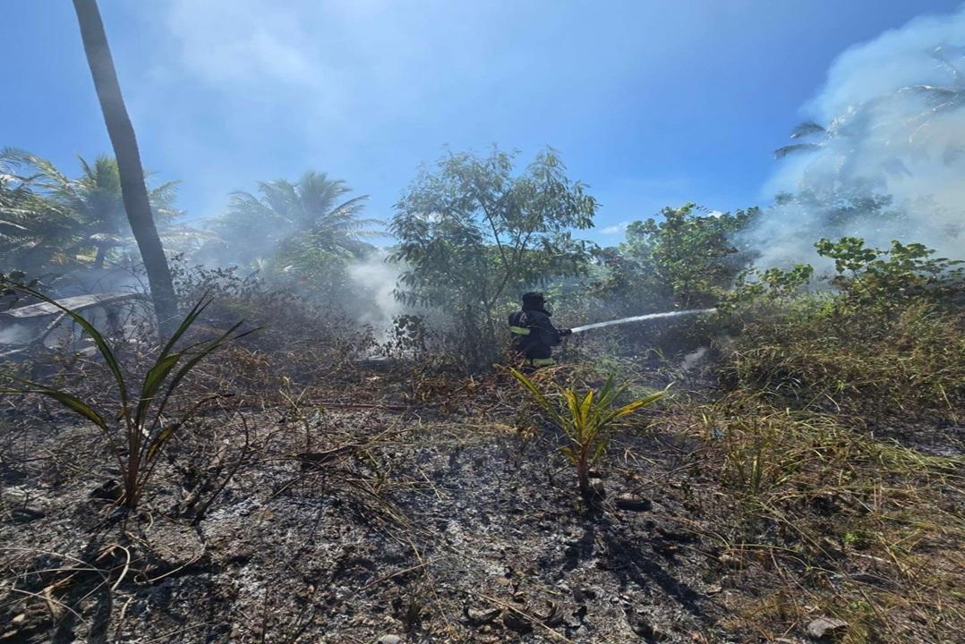 އައްޑޫ ސިޓީ ނޭޗަރ ޕާކް ކައިރި ވަލުތެރޭގައި އަލިފާނުގެ ހާދިސާއެއް!