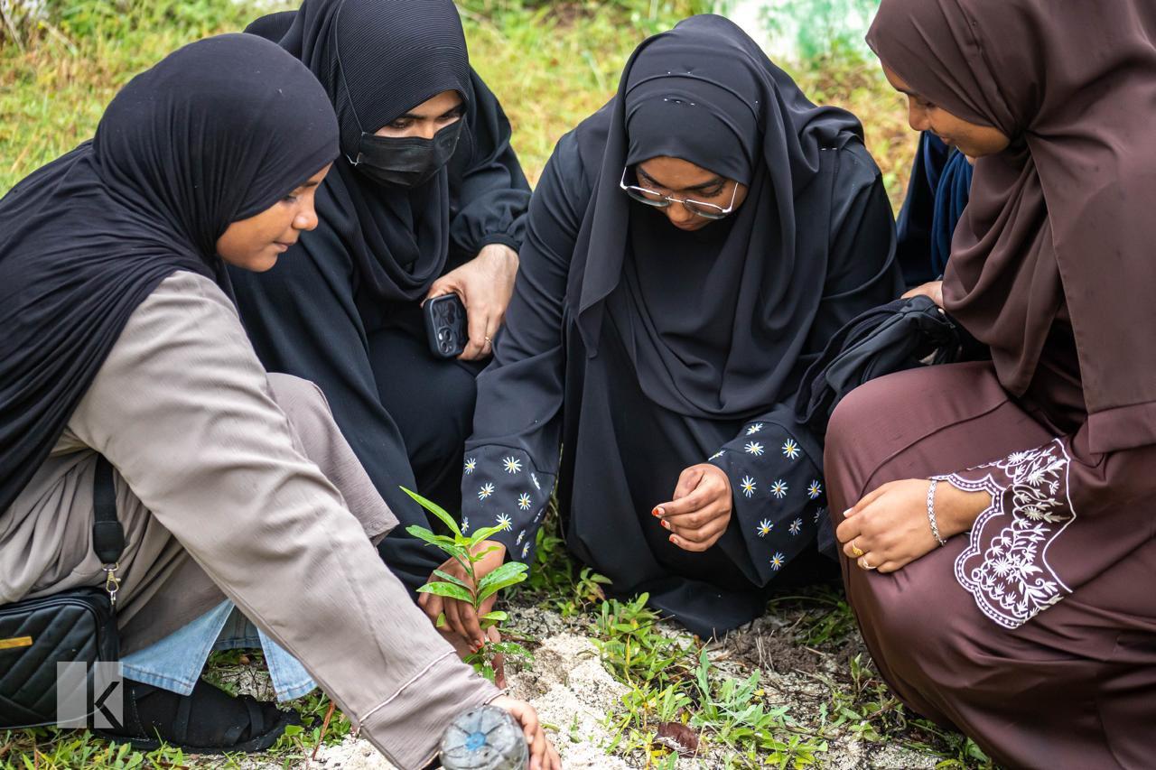 އެމްއެންޔޫ ކުޅުދުއްފުށި ކެމްޕަސްގައި ގަސް އިންދުމުގެ ޙަރަކާތެއް ކުރިއަށްގެންގޮސްފި