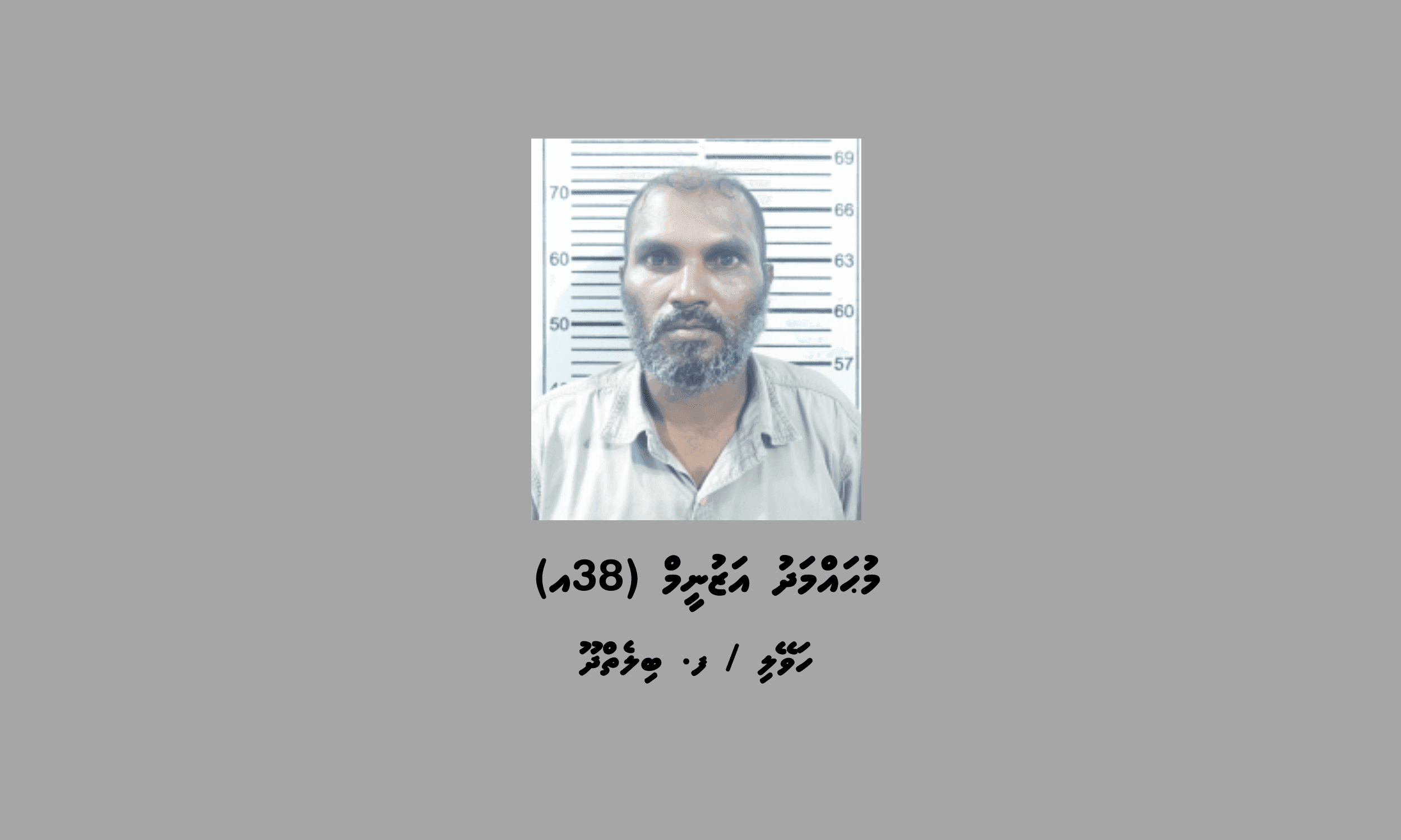 ބިލެތްދޫއަށް މަސްތުވާތަކެތި އެތެރެކުރަން އުޅުނުކަމުގެ ތުހުމަތުގައި މީހަކު ހައްޔަރުކޮށްފި