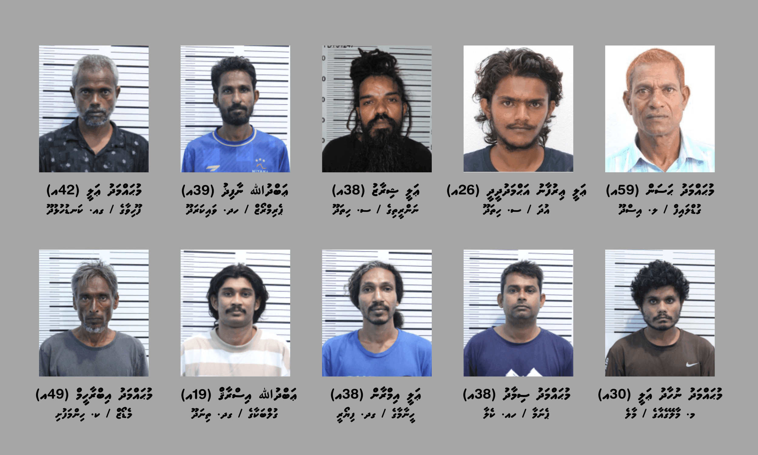 ސްކޭމަރުންގެ ބޮޑު ނެޓްވޯކެއް އަތުލައިގެންފި