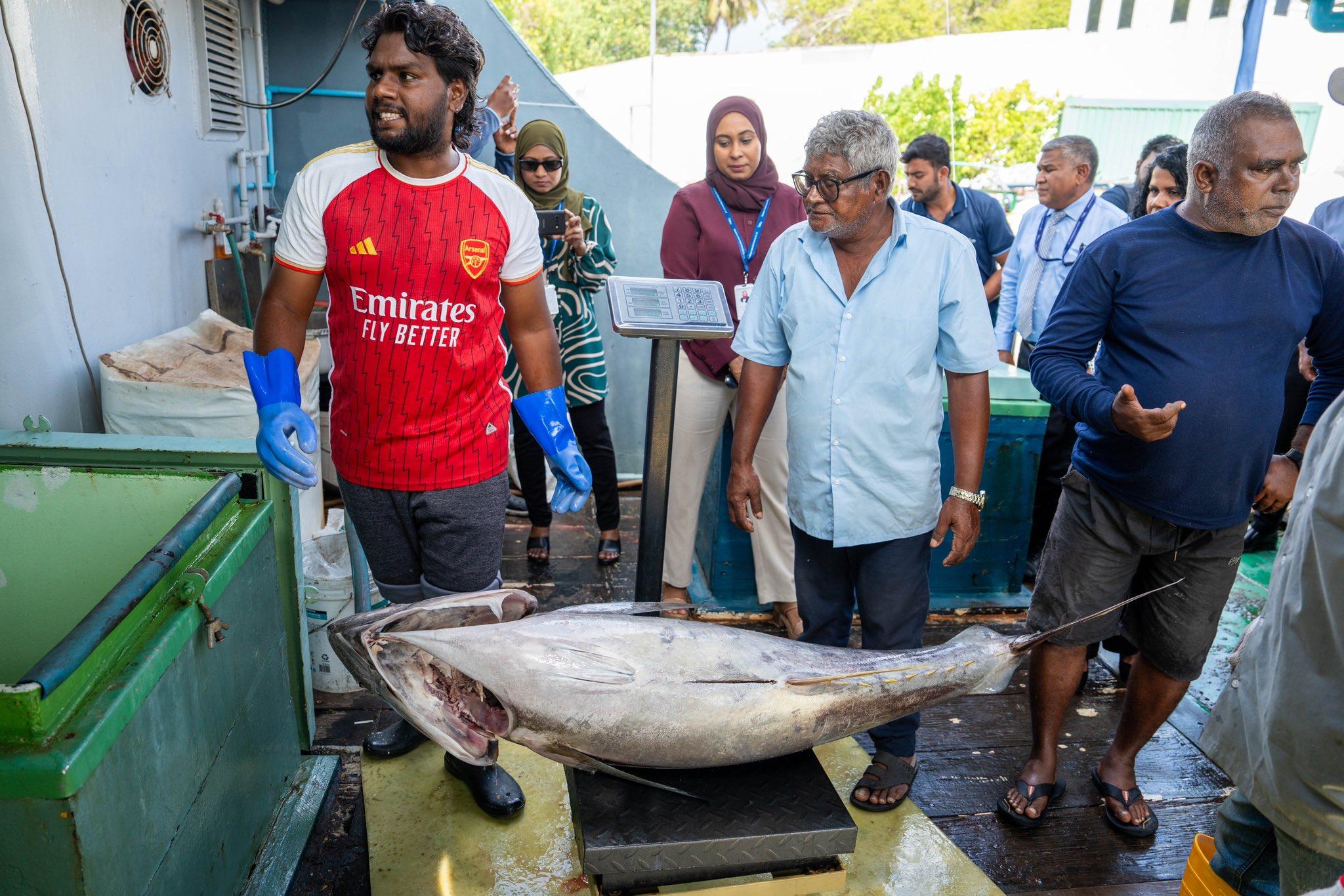ކަނޑުއޮތްގިރިން ބޮޑުކަންނެލި ގަންނަން ފަށައިފި: ކިލޯއަކަށް 25 ރުފިޔާ!