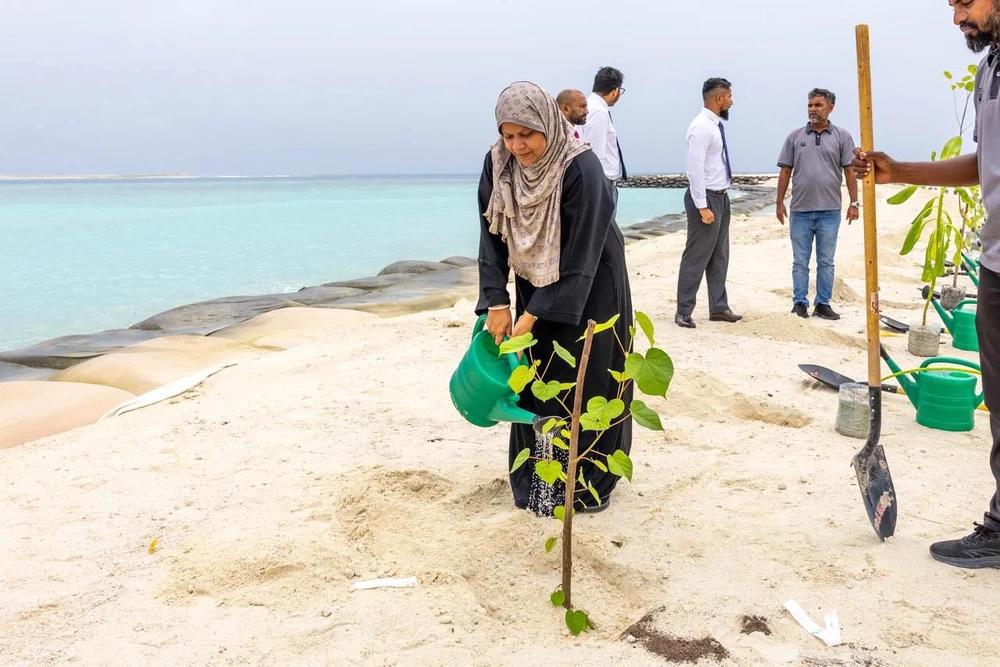 ގުޅީގެ ހިއްކި ސަރަހައްދު ފެހިކުރުމަށް 2,000 ގަސް އިންދުމުގެ މަޝްރޫޢެއް ފަށައިފި