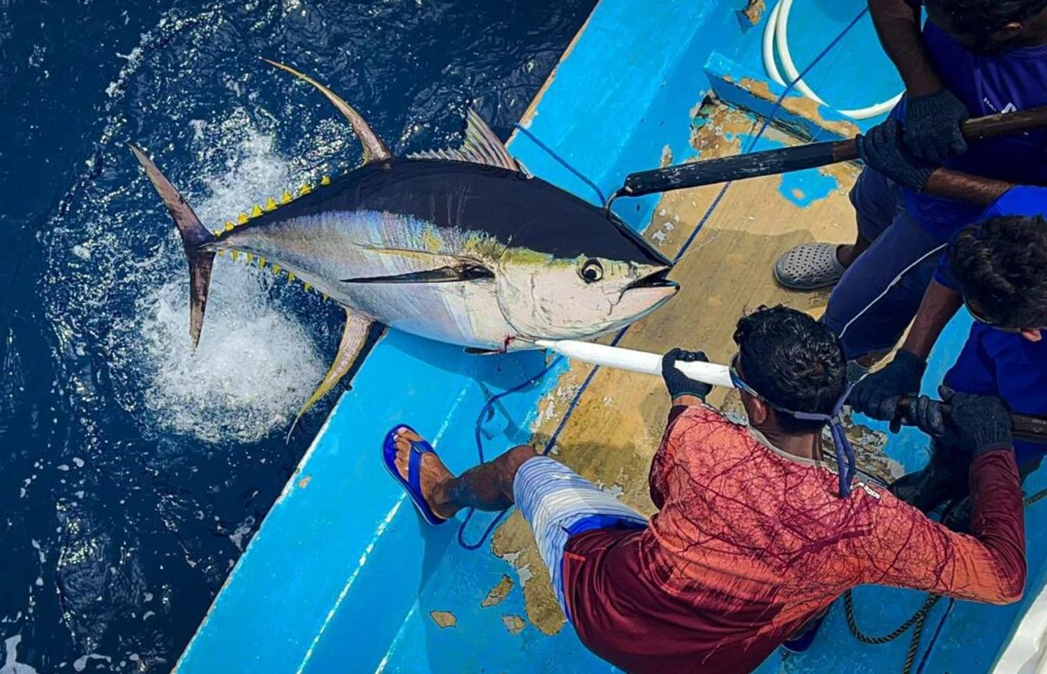 މަސްކިރުވި ދޯނިތަކަށް 1.7 މިލިއަނަށް ވުރެ ގިނަ ރުފިޔާ ދޫކޮށްފި