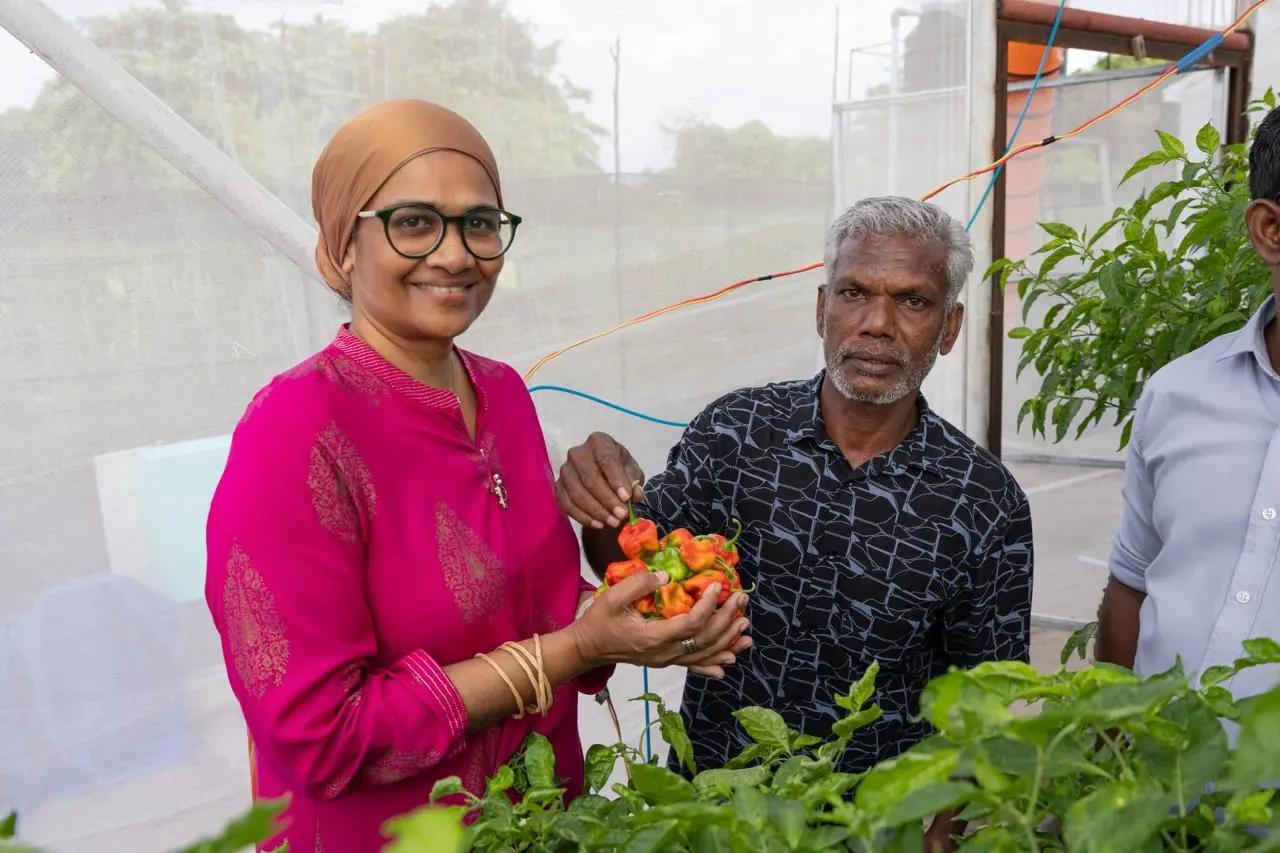 ރޯދަމަހަށް ދިވެހި ދަނޑުވެރިންގެ ވަގުތީ މާރުކޭޓެއް މާލެ ސަރަހައްދުގައި ގާއިމްކުރަނީ