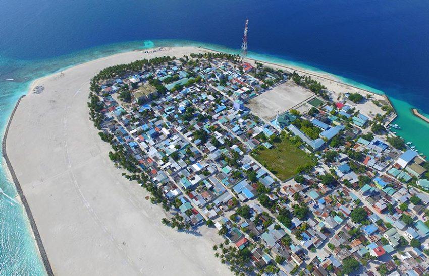 އޭދަފުށީގައި ޕިކަޕަކުން ޖެހި އެކްސިޑެންޓުވި މީހާ ނިޔާވެއްޖެ