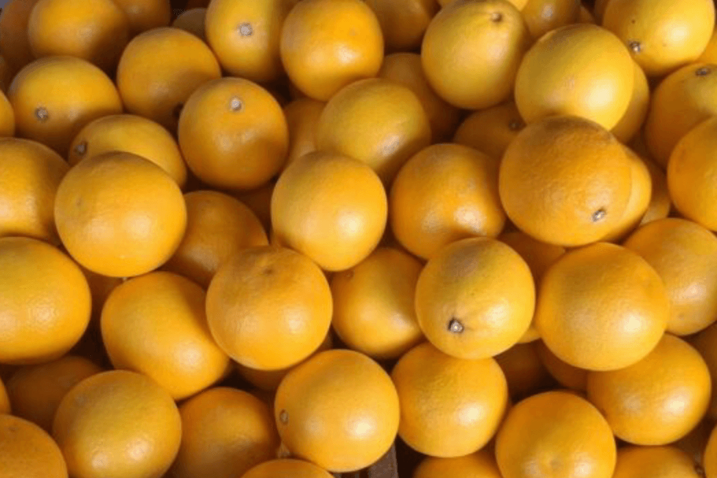 ބާޒާރުގައި އޮރެންޖުގެ އަގު އުފުލިއްޖެ: ހާސްވާނެ ކަމެއް ނެތް، އެސްޓީއޯއިން އަގު ހެޔޮކޮށް ލިބޭނެ!