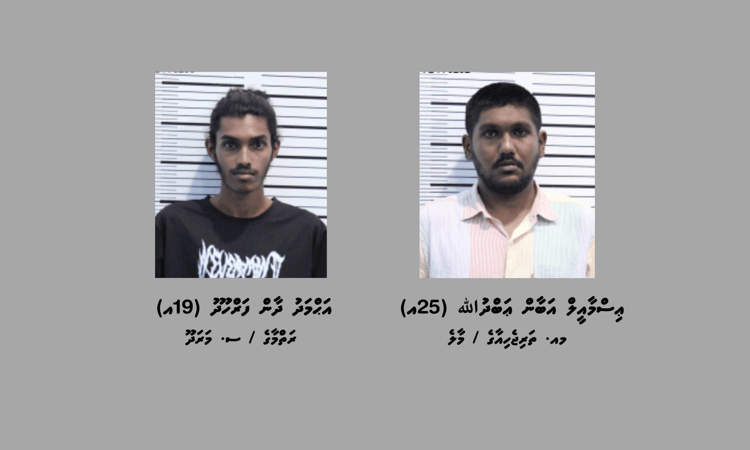 ކަނޑުމަގުން ރާއްޖެއަށް މަސްތުވާތަކެތި އެތެރެކުރި ދެ ޒުވާނަކު ހައްޔަރުކޮށްފި