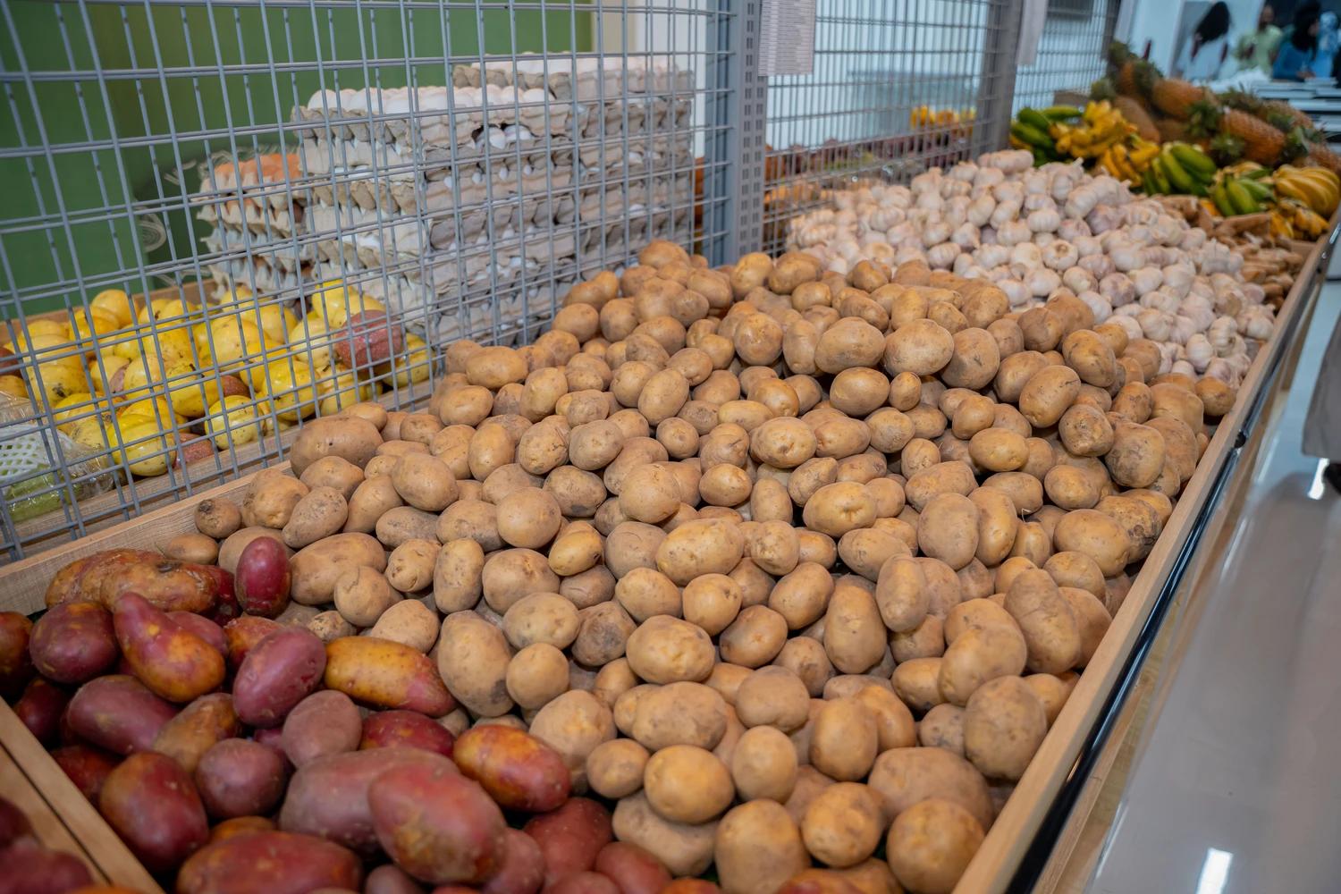 ސަރުކާރުން އެޅި ހަރުދަނާ ފިޔަވަޅުތަކާއެކު އެސްޓީއޯ އިން ވިއްކާ އަސާސީ ކާބޯތަކެތީގެ އަގުތައް އެއްވަރެއްގައި ހިފެހެއްޓިފައި!