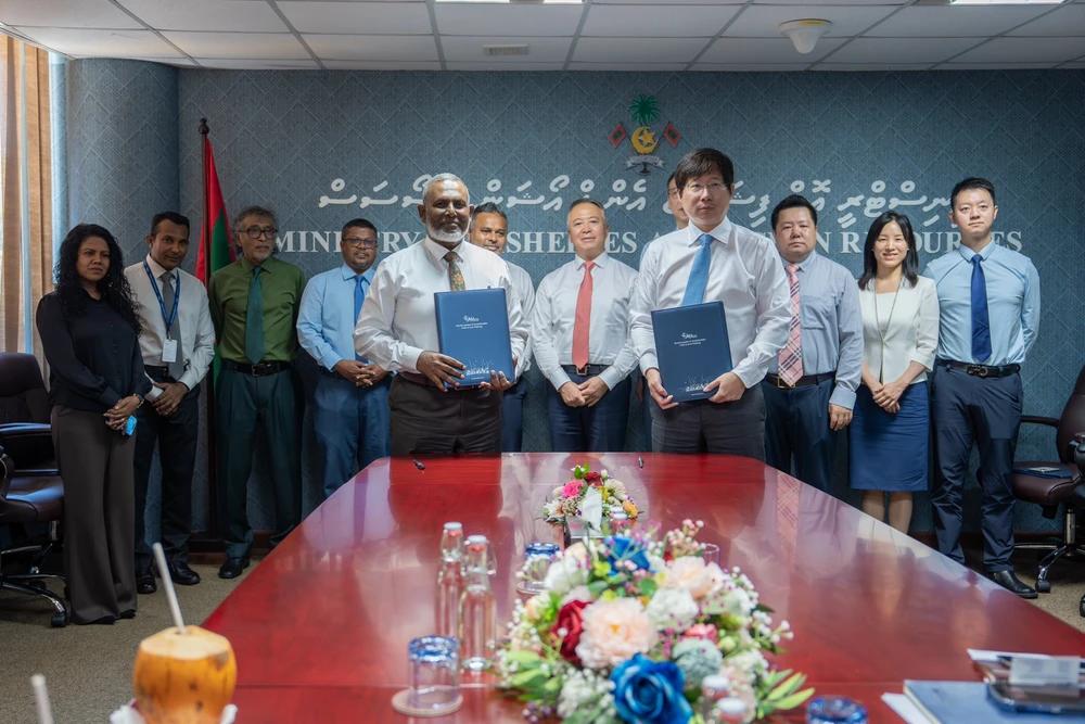 ތިނަދޫ،އައްޑޫ އަދި ހިރިލަންދޫގައި މިފްކޯގެ ގާބިލުކަން އިތުރުކުރުމުގެ ތިން މަޝްރޫއެއް ޗައިނާގެ ސީ.އެމް.އީ.ސީއަށް!