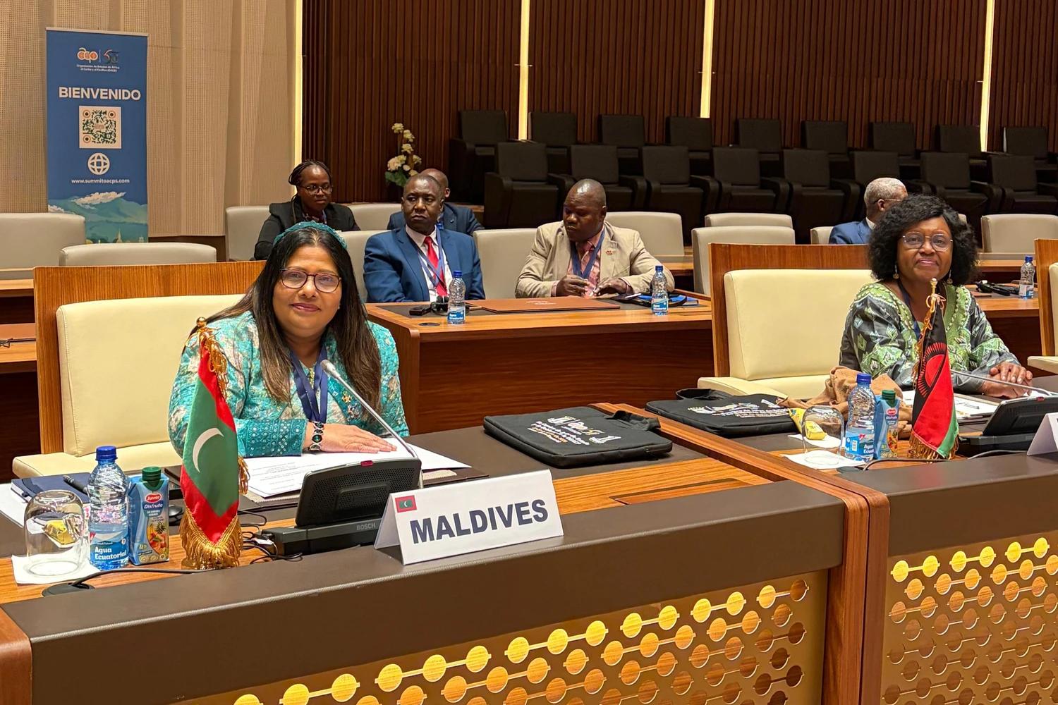 އޯ.އޭ.ސީ.ޕީ.އެސްގެ އެންމެ އިސްވެރިންގެ ބައްދަލުވުމުގައި ރާއްޖެއިން ބައިވެރިވެއްޖެ