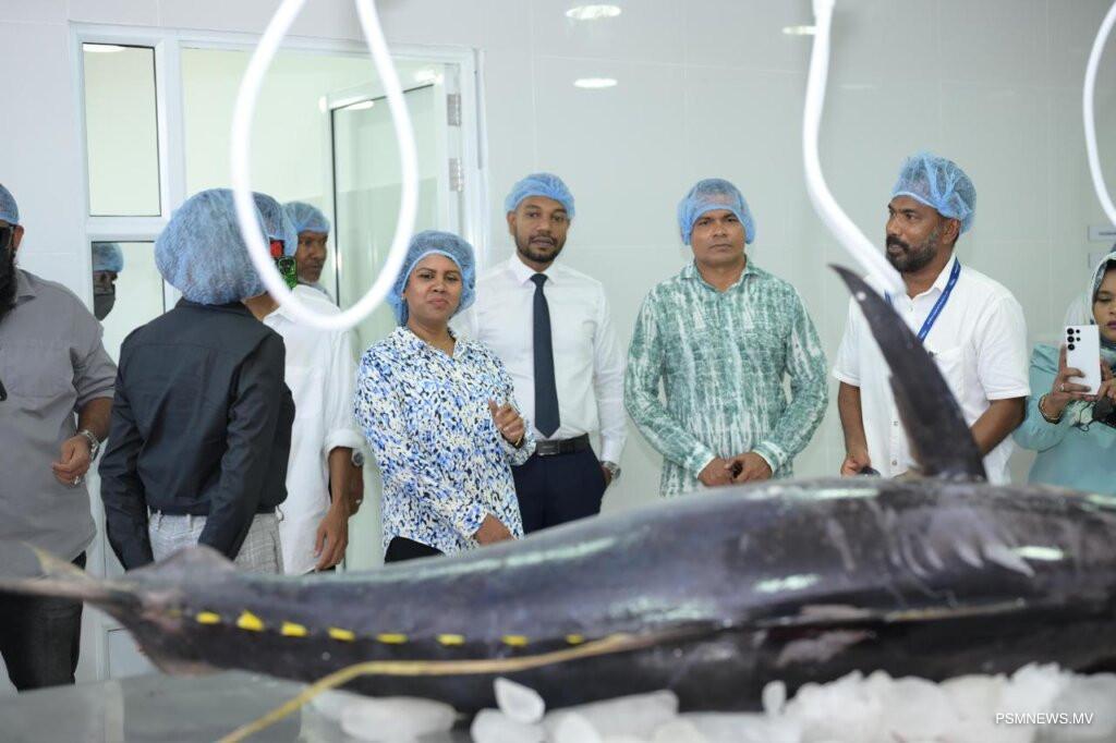 ކަންނެލި ގަނެ ޕްރޮސެސް ކުރުމުމަށް ހުޅުމީދޫގައި މަސް ޕްރޮސެސިން ފެސިލިޓީއެއް ހުޅުވައިފި