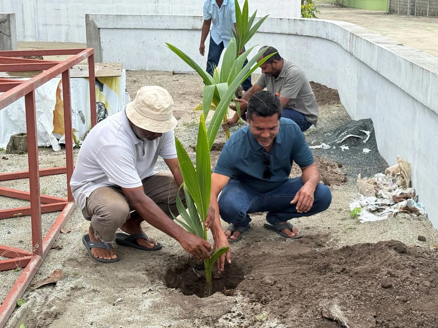 ފަސް މިލިއަން ގަސް އިންދުމުގެ މަޝްރޫޢު: އިންނަމާދޫގައި ރުއް އިންދުމުގެ ޚާއްޞަ ހަރަކާތެއް ބާއްވައިފި