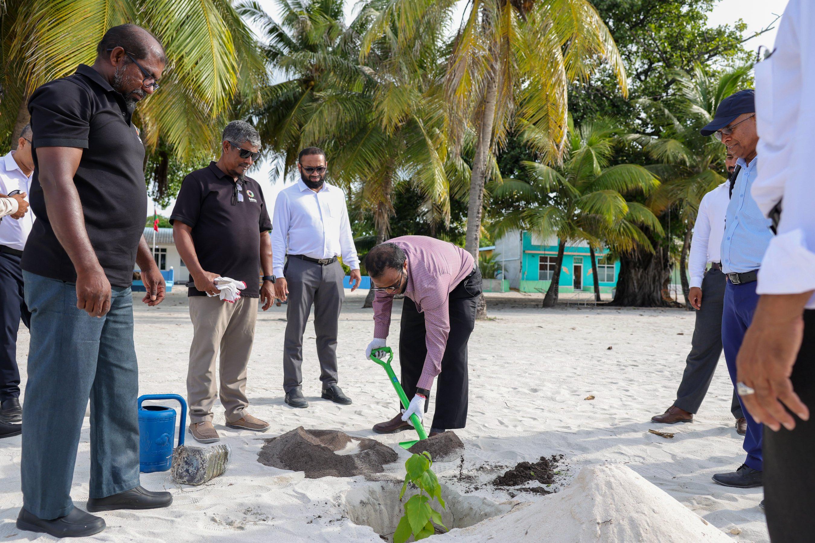 5 މިލިއަން ގަސް އިންދުމުގެ މަޝްރޫޢުގެ ދަށުން ރ. ފައިނުގައި ގަސް އިންދުމުގެ ހަރަކާތެއް ބާއްވައިފި