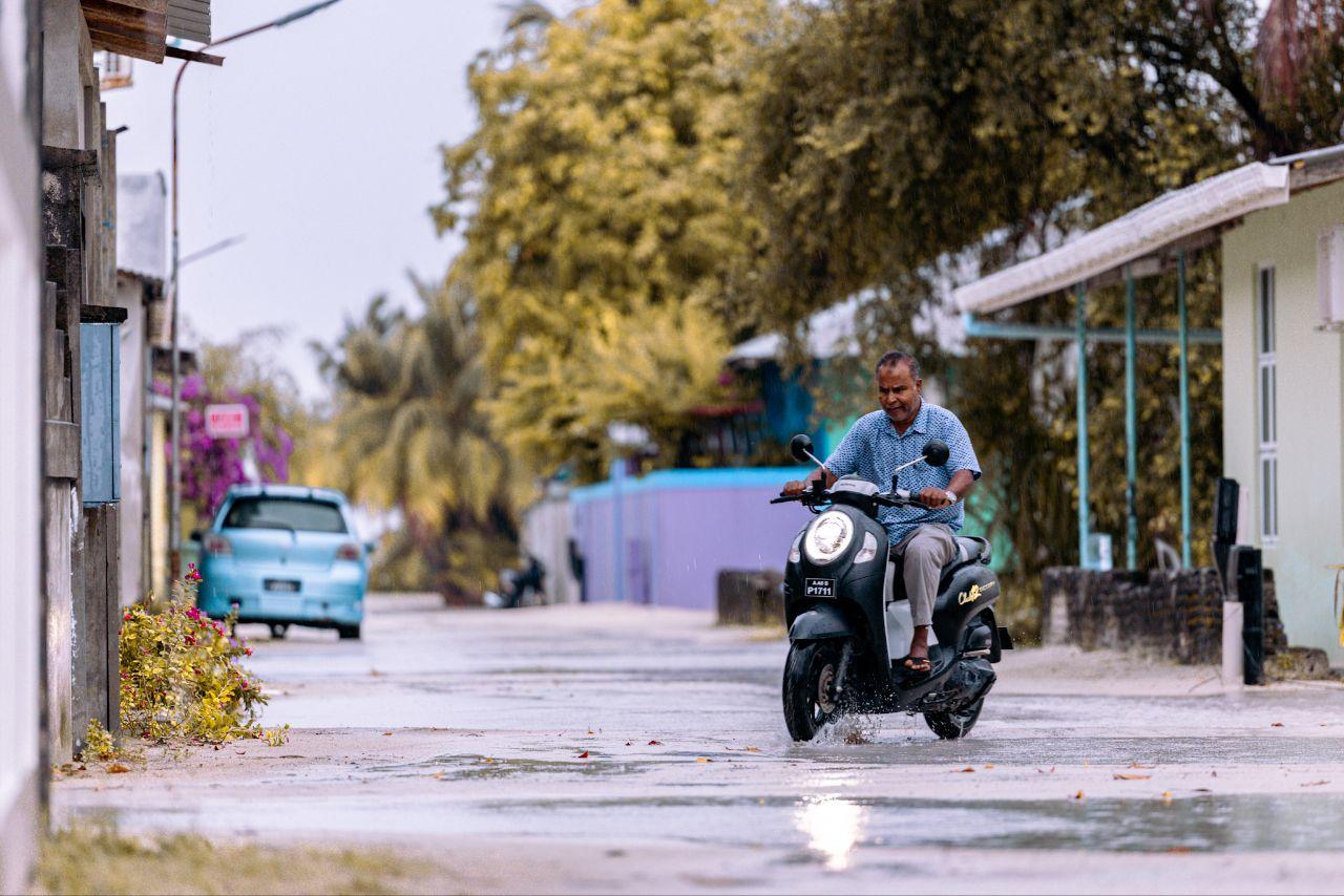 ރެއިން ފެށިގެން ކާށިދޫއަށް ވިއްސާރަކުރަނީ